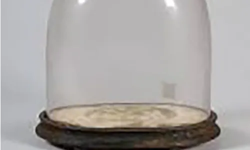 Under glass