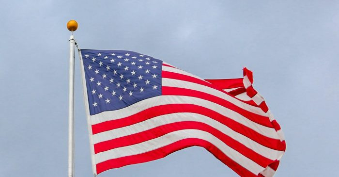 US Political Polarization in 2020