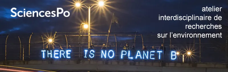 After the Joe Biden Election: Which Reset for Climate Policy?