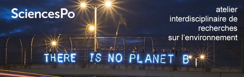 After the Joe Biden Election: Which Reset for Climate Policy?