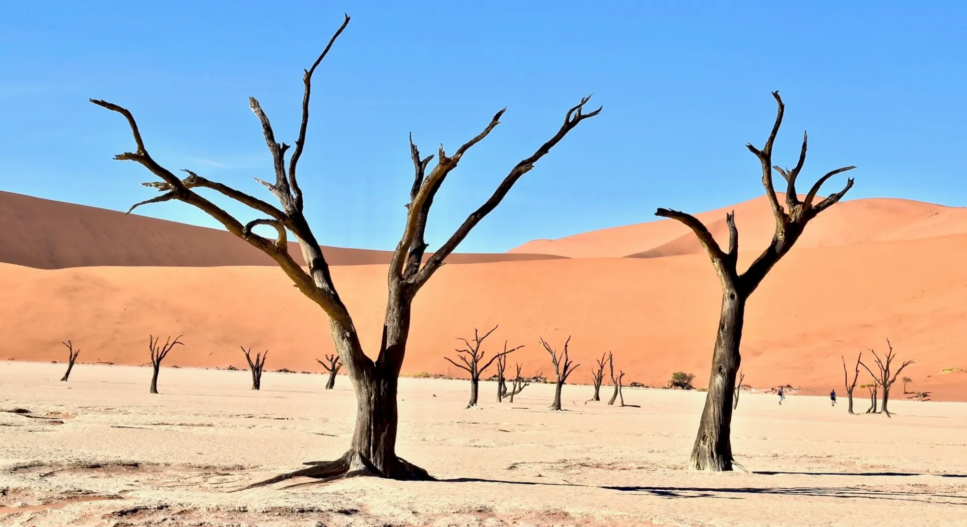 Sahel