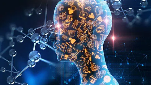 #Dixit: École Polytechnique Newsletter - November 2019