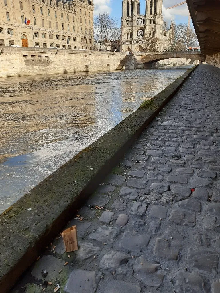 Lead Fallout From Notre Dame Fire Was Likely Overlooked